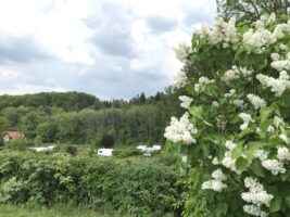 Wohnmobil- und Campingpark Ambergau