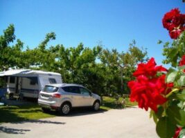 CAMPING AMFORA